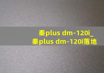 秦plus dm-120i_秦plus dm-120i落地